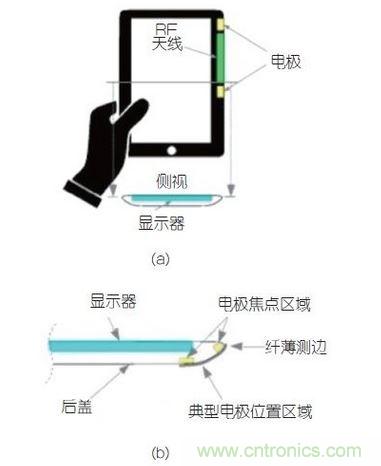 (a)側(cè)剖視圖描述；(b)電極焦點(diǎn)區(qū)域描述