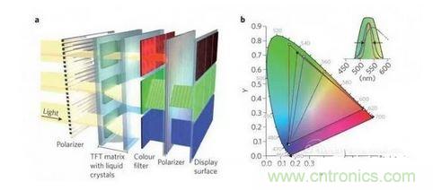  LCD顯示器示意圖。TFT表示薄膜晶體管（thin-film transistor）。