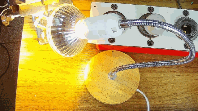 電燈泡內通有交流電，為什么看不到燈泡在閃爍？