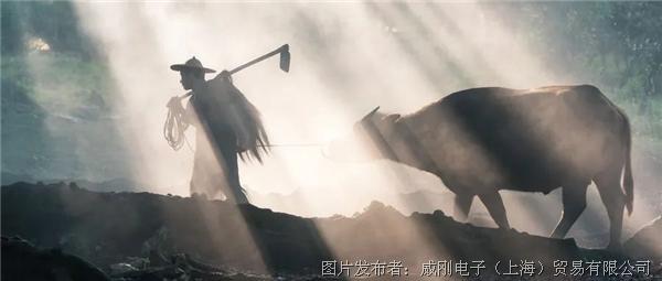 智慧農(nóng)業(yè)大有可為，“數(shù)字種地”更輕松