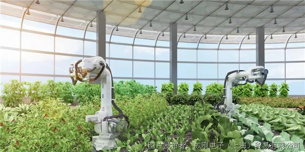 智慧農(nóng)業(yè)大有可為，“數(shù)字種地”更輕松