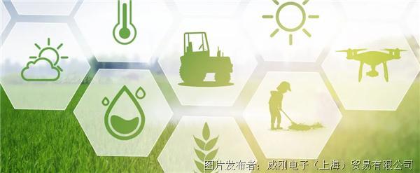 智慧農(nóng)業(yè)大有可為，“數(shù)字種地”更輕松